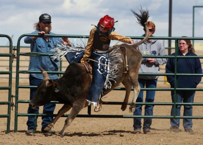 Mini Bull Riding